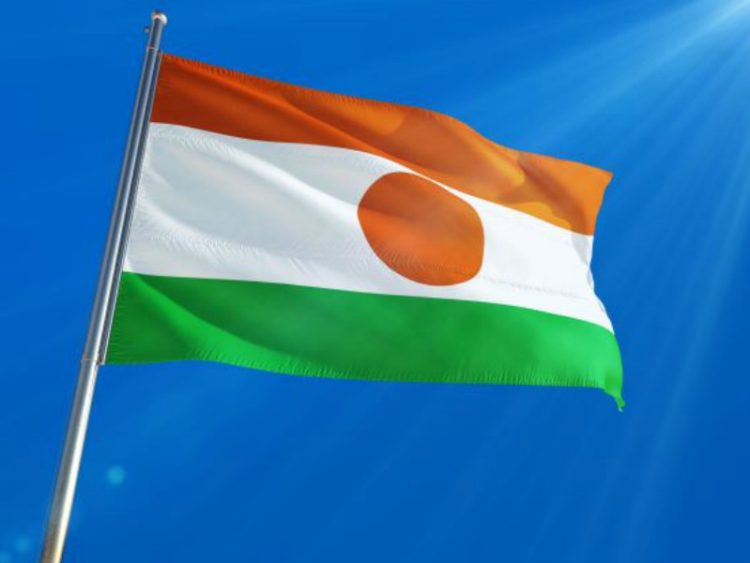 Niger Flag